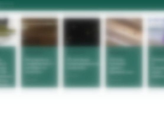 Індексація мережі веб-сайтів PBN